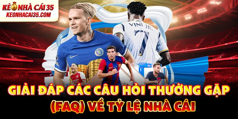 Giải Đáp Các Câu Hỏi Thường Gặp (FAQ) Về Tỷ Lệ Nhà Cái